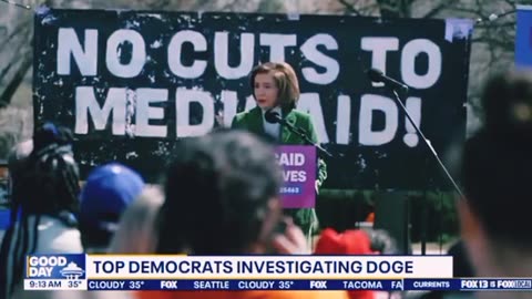 Leading Democrats in the US are looking into DOGE.