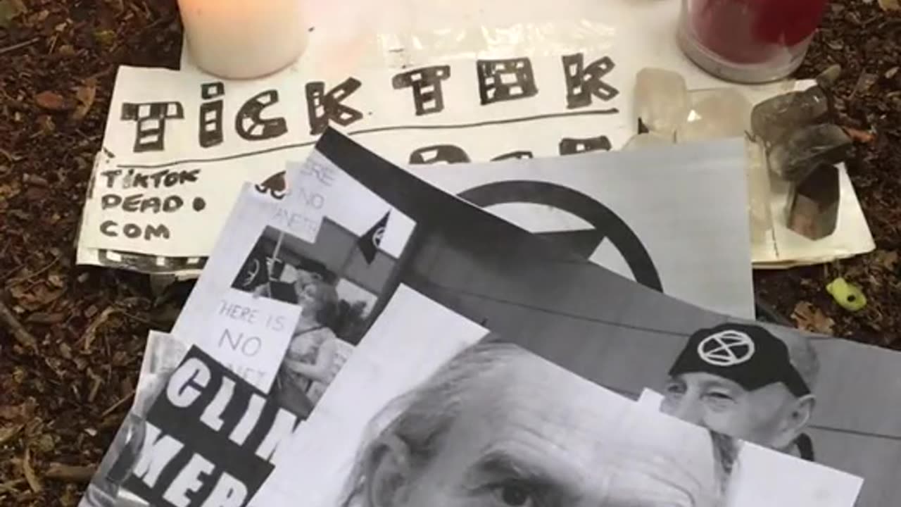 Tim Rifat TikTok Videos