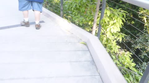 More walking on the walk way