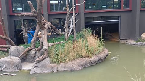 Cheyenne Mountain Zoo Part 6