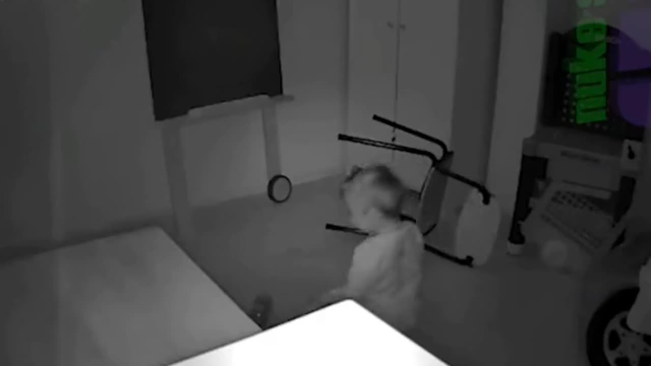 😱👻 Who is He Talking To? A Ghost? | TheHauntingHour