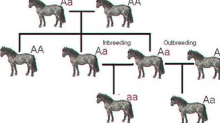 The Rothschild Family’s Darkest Genetic Secret