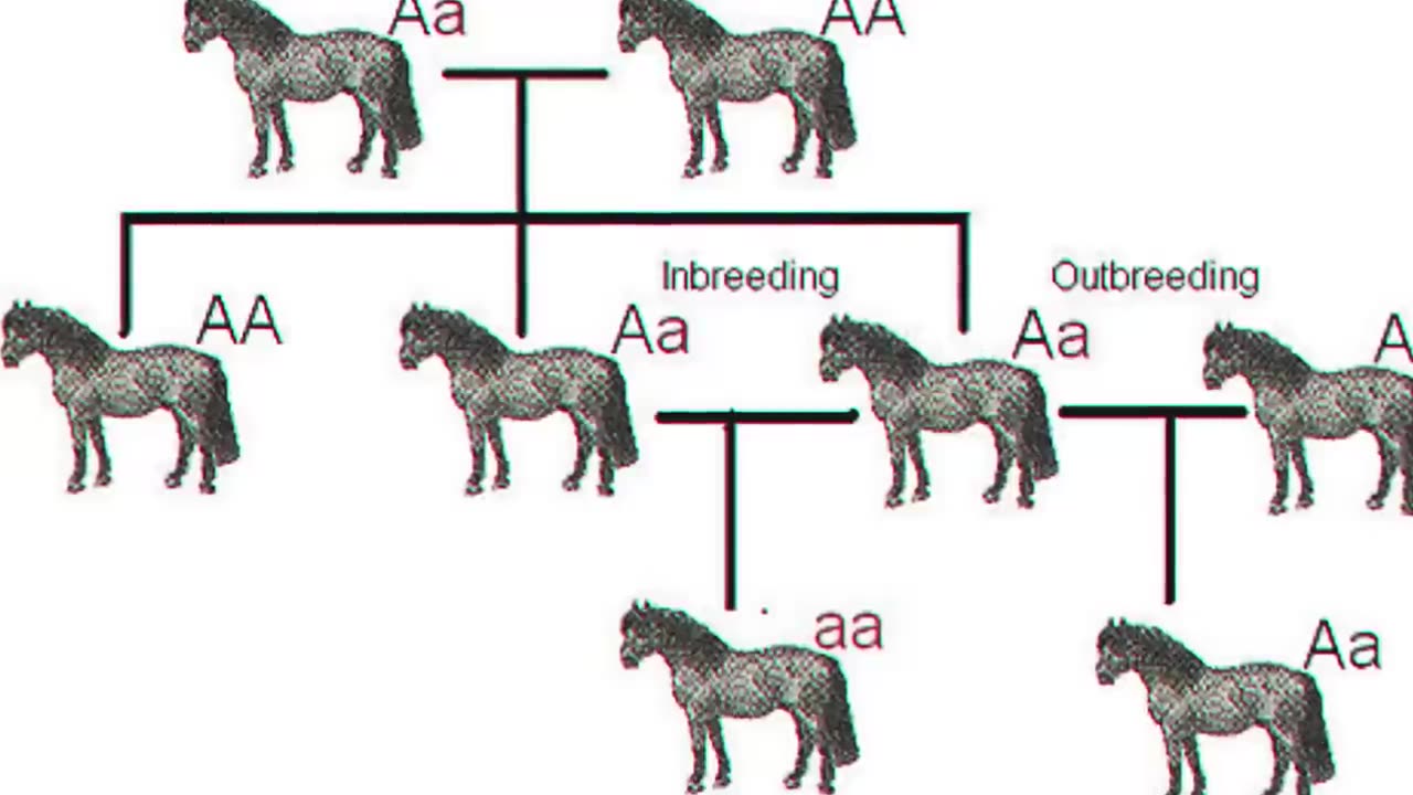 The Rothschild Family’s Darkest Genetic Secret