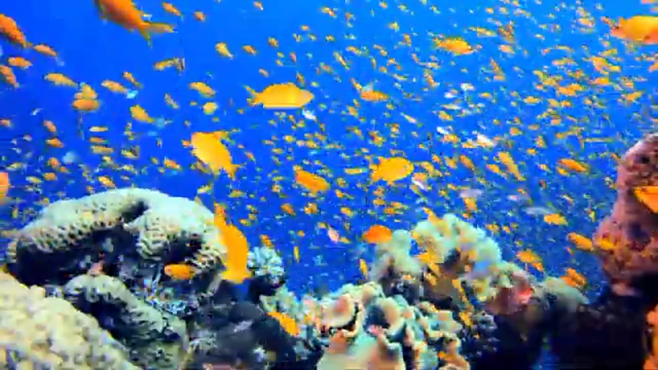 4k deep ocean