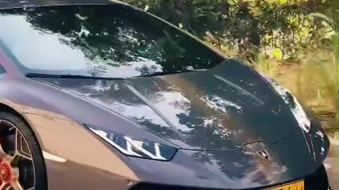 🏎️💨 This Hypercar's Speed is PURE Adrenaline! | LuxurySportsCars