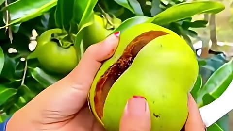 Very Tasty Fruits Guaranteed #fruit #shorts #nature