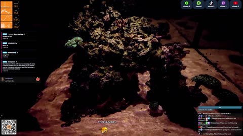 24/7 Real Live Reef Stream