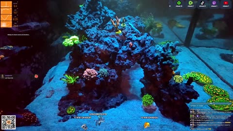 24/7 Real Live Reef Stream