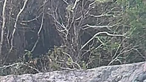 Slow Motion Long Range Shooting - Bullet Trace