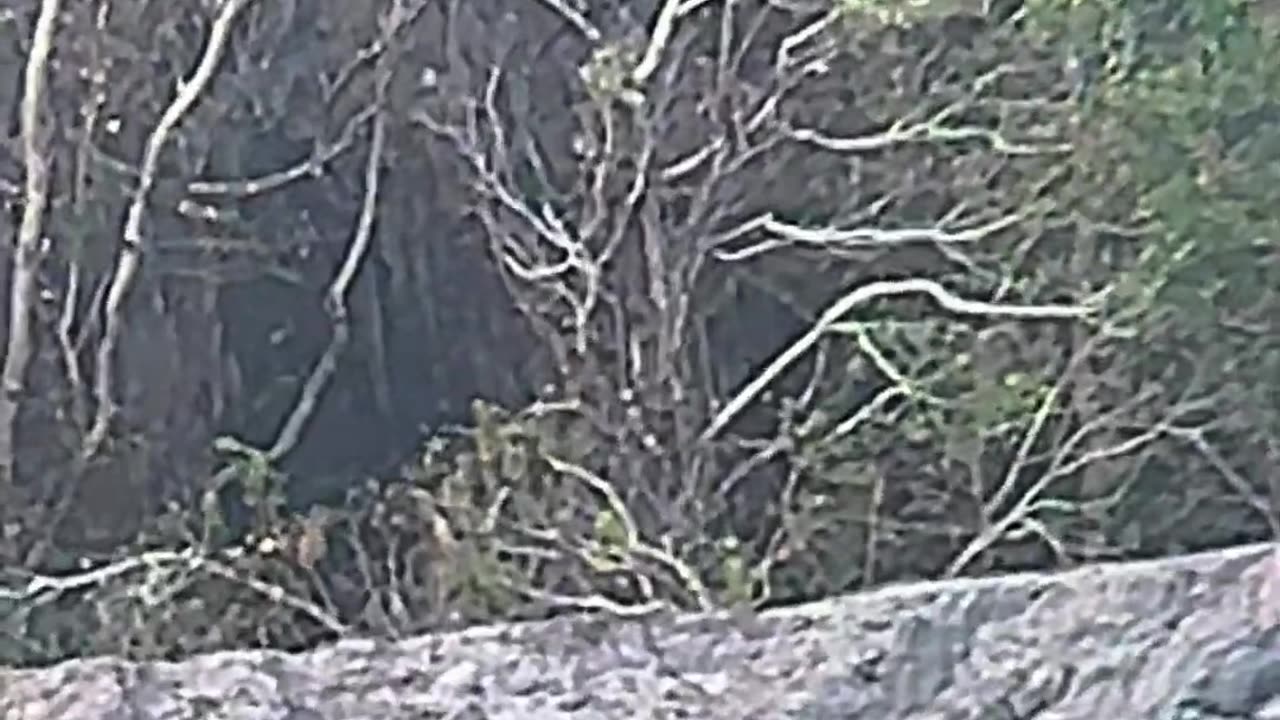 Slow Motion Long Range Shooting - Bullet Trace