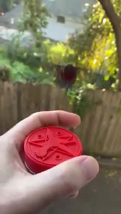 Just relax and watch