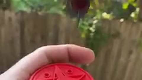 Just relax and watch