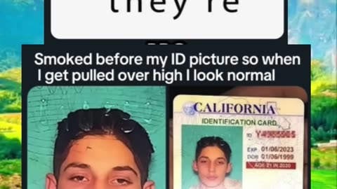 Memes of the day | funny memes | #funny