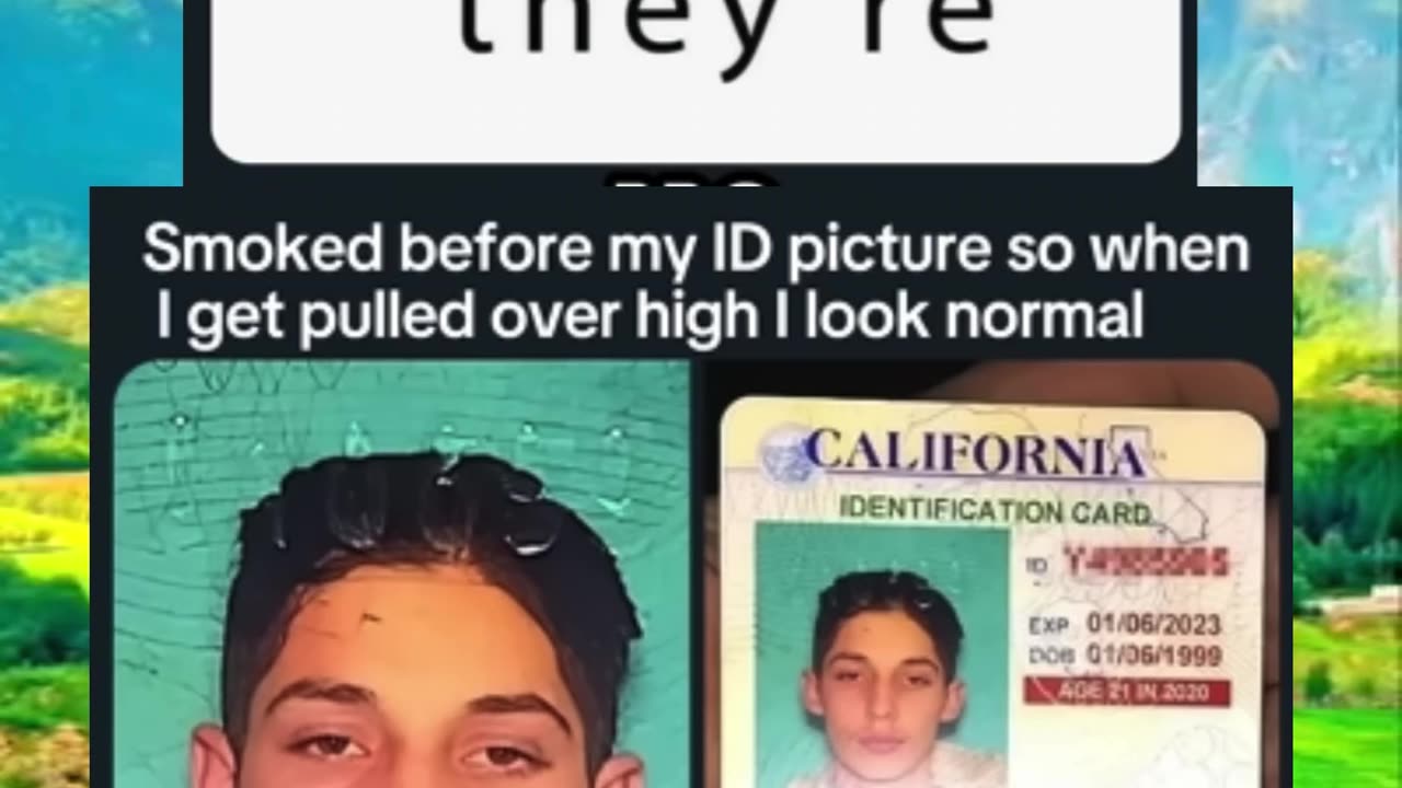 Memes of the day | funny memes | #funny