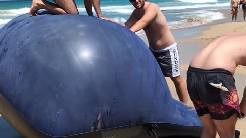 Inflated a Mattress to the Max