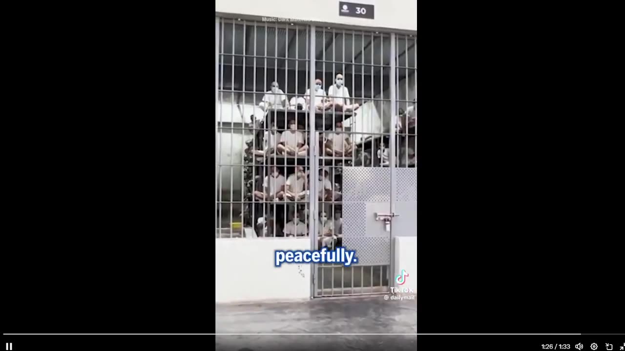 HÌNH PHẠT CHO NHỮNG KẺ TỘI PHẠM!