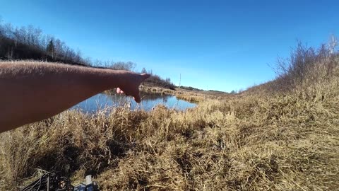 October 23, 2025 - Setting Up in Beaver Paradise