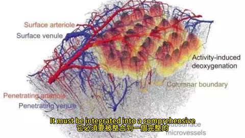 經顱磁刺激 助中風復健
