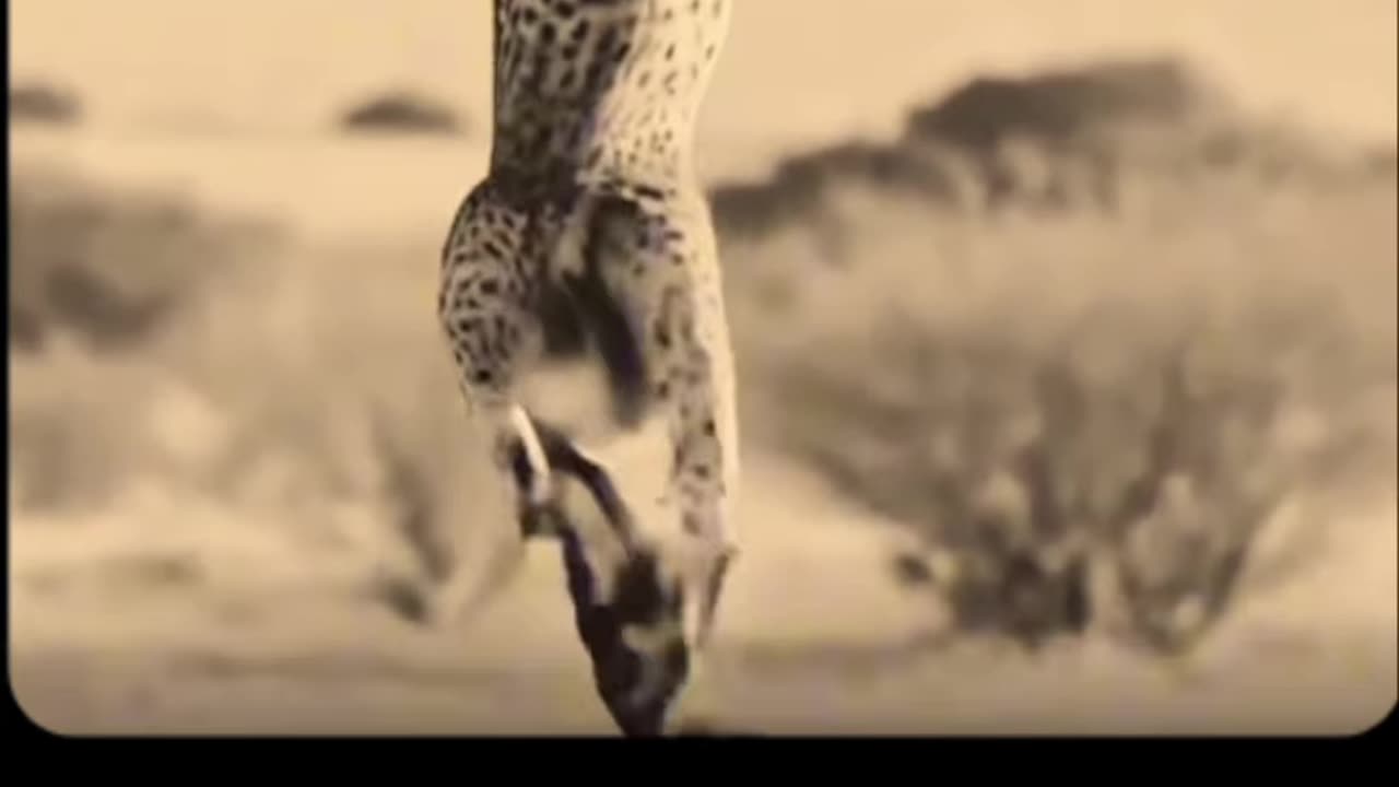 Khatarnak seen real short video