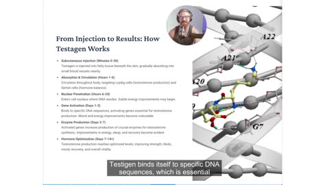 Testagen Peptide Masterclass for Beginners (Slideshow)