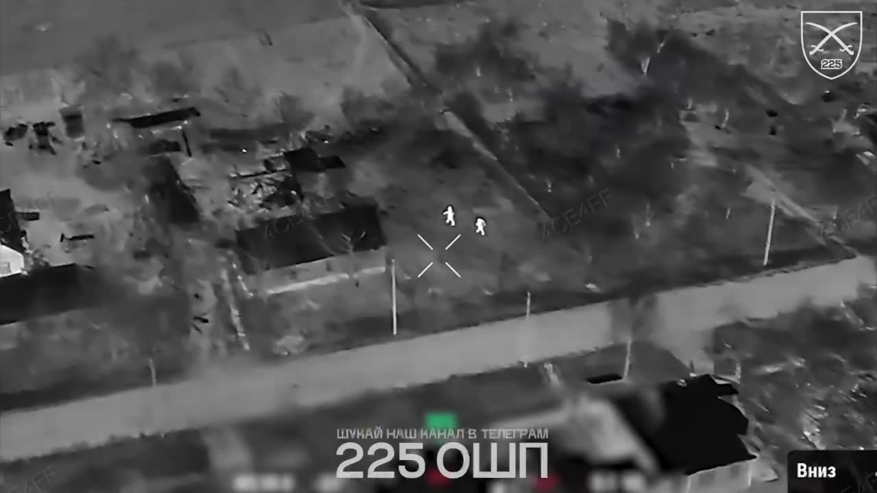 Russian Soldier in a Running Battle with A Group of Pigs