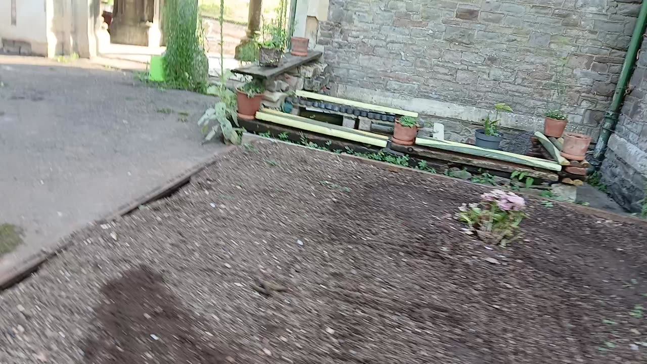 The wood that left a magical stain on the floor