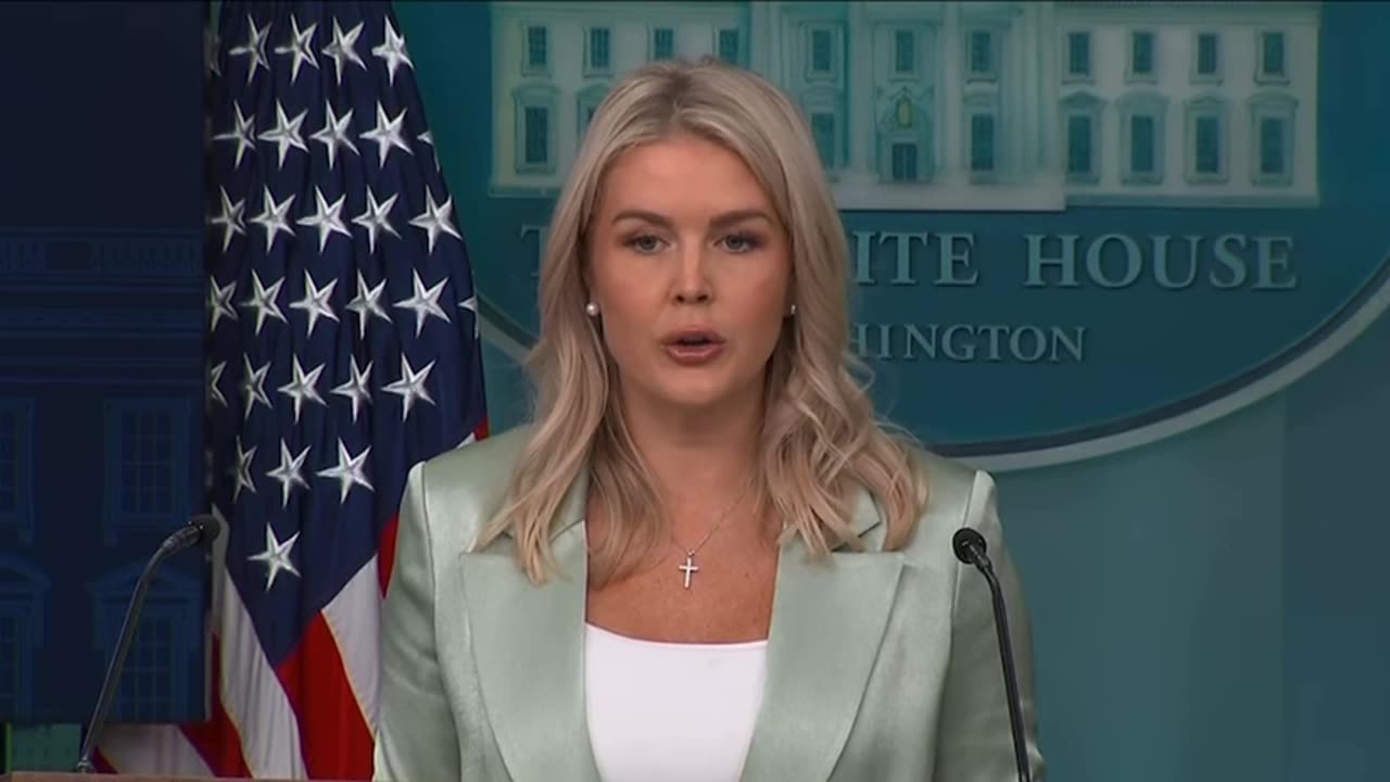 NOW - Press Secretary Leavitt on Epstein