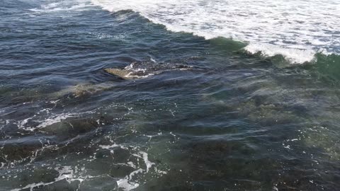 Chill Waves Looking South - Pacific living up to its name. #waves #ocean #coastal