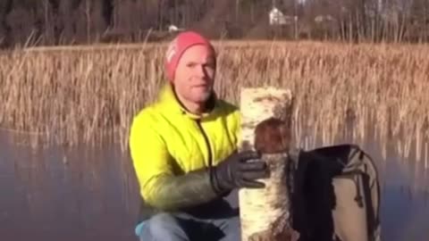 This Log Stacking Went Wrong Fast!