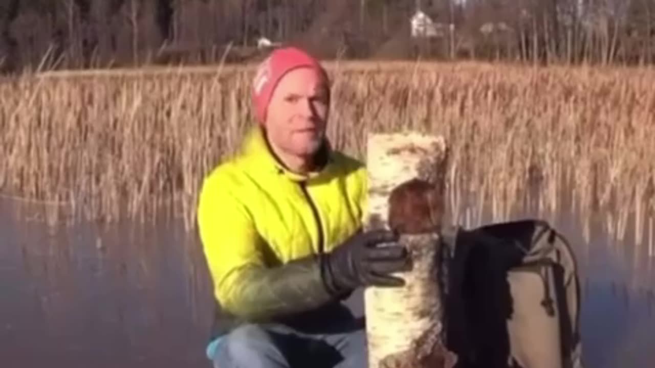 This Log Stacking Went Wrong Fast!