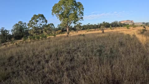 Chasin Boar Tales Podcast - Comp June 2025