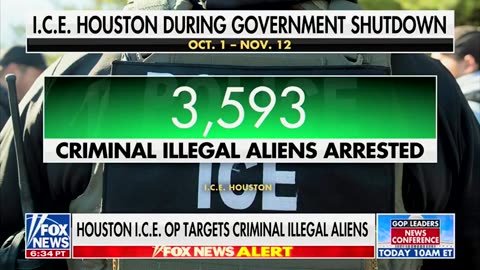 ICE arrested over 3,500 criminal illegal aliens in Houston
