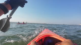 Kayak on The South Side, PT - Margem Sul, S02E09 SEIXAL 23th of AUG 2K25 Part 16