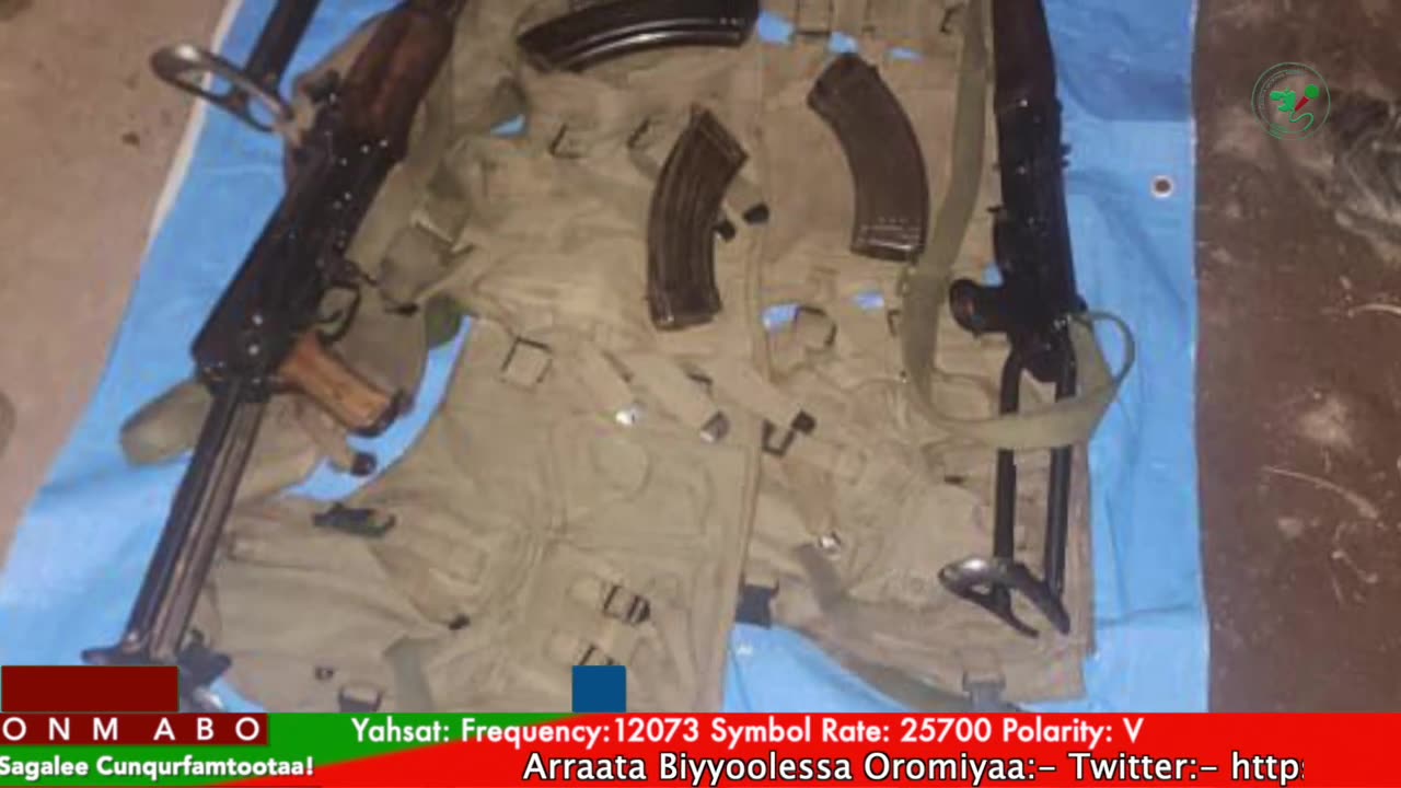 Gabaasa Takaanfii ONM-ABO Fulbaana 20-2025 itti dhiyaadhaa!