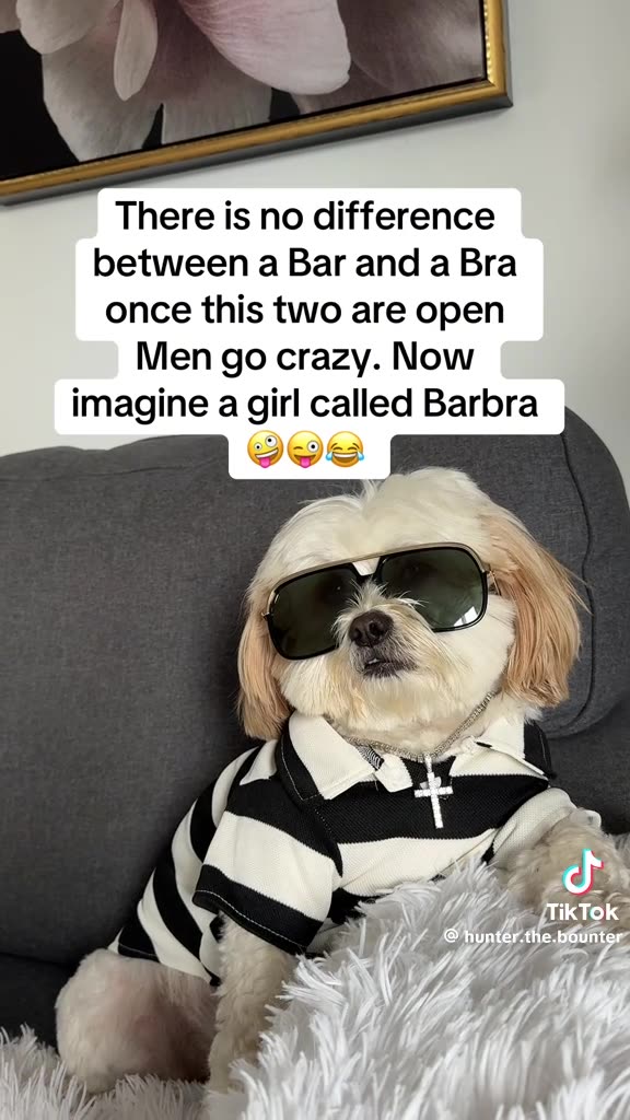 WISECRACKING WEDNESDAY 11/12/25