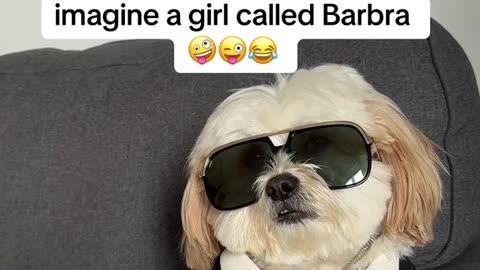 WISECRACKING WEDNESDAY 11/12/25