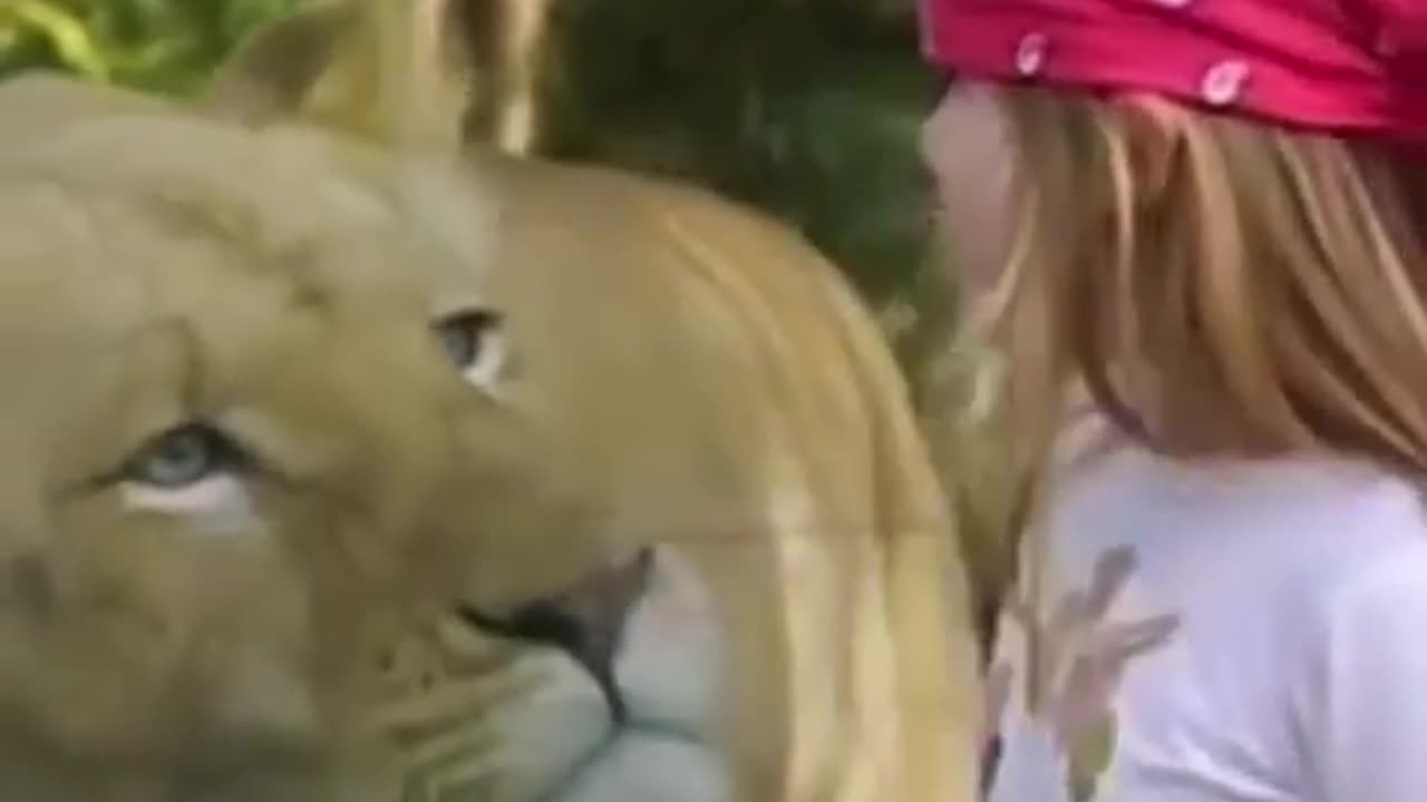 kids zoo video, zoo experience, wild animals, nature park, zoo vlog, animal park