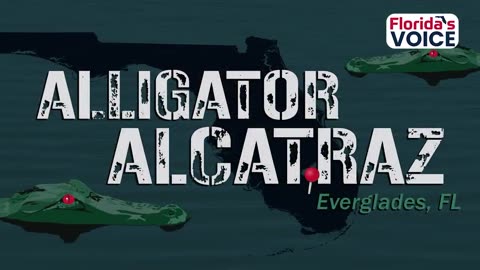 ATTORNEY GENERAL OF FLORIDA ON ALLIGATOR ALCATRAZ FOR ILLEGAL IMMIGRANTS ICE DETAINERS HOLDS ARRESTS