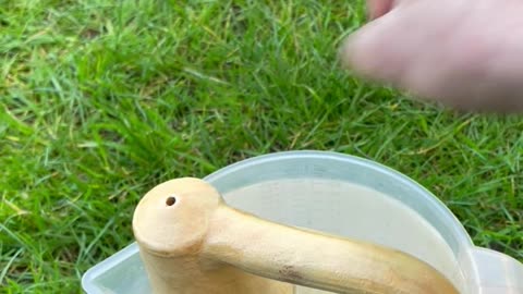 Garden Plant Waterer With Handle