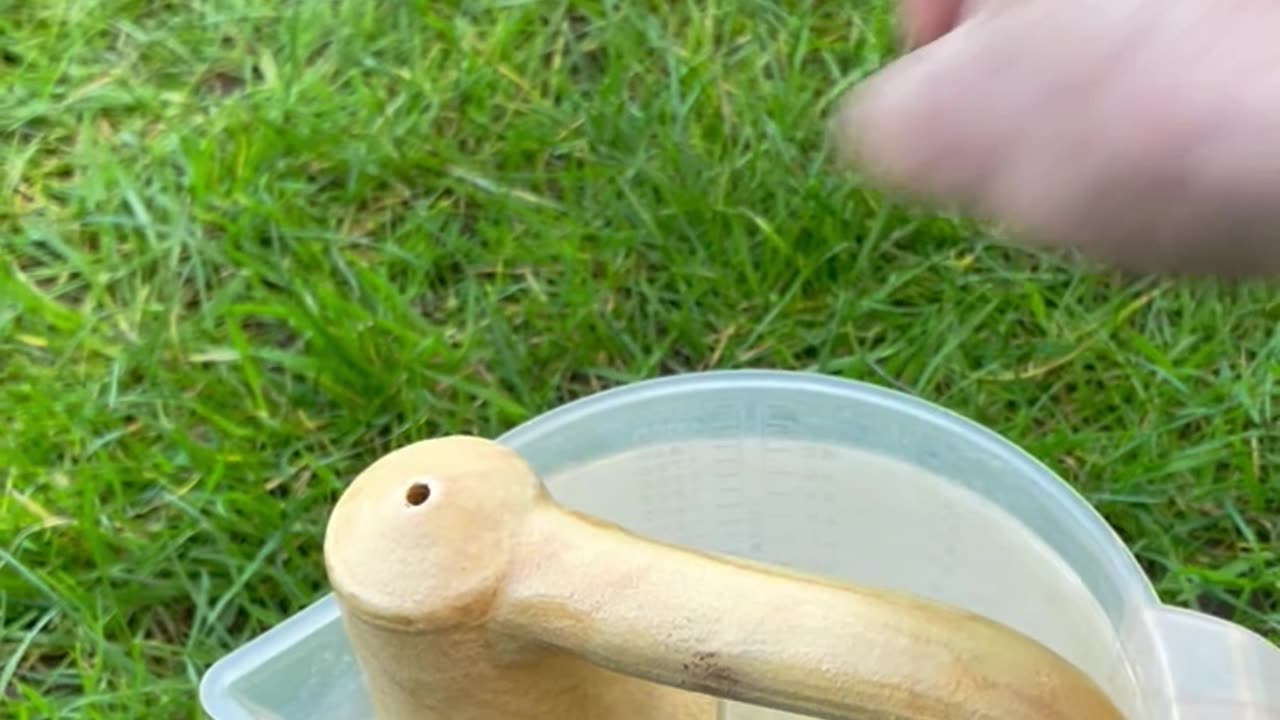 Garden Plant Waterer With Handle