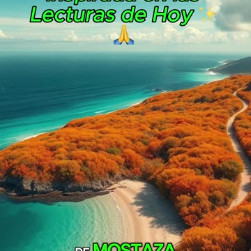 🙏✨Oración Inspirada en las Lecturas de Hoy ✨🙏