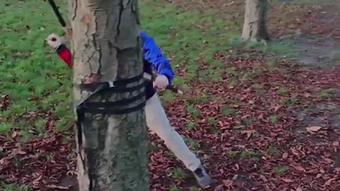 Attrape la vie à pleines mains danse comme si personne ne regardait et un dernier riff pour Bébert