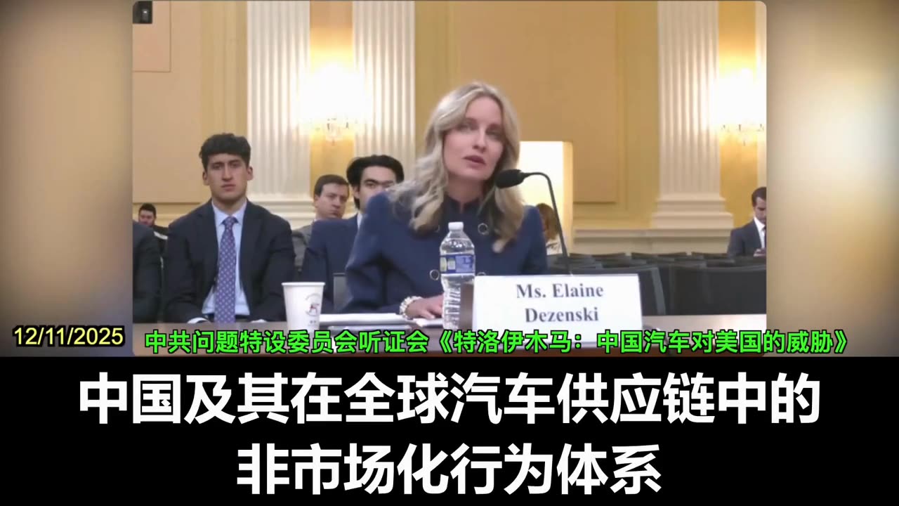 2025.12.11 Ms. Elaine Dezenski