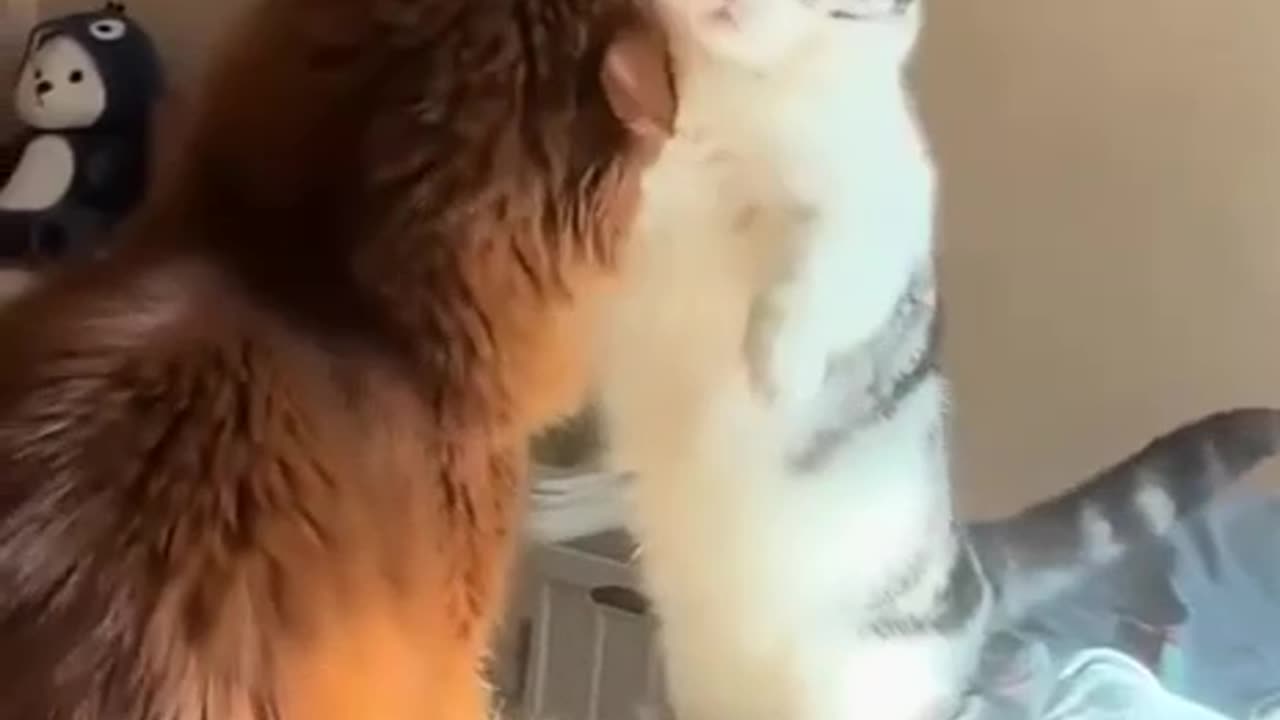 Everyone has a plan until they get punched in the mouth