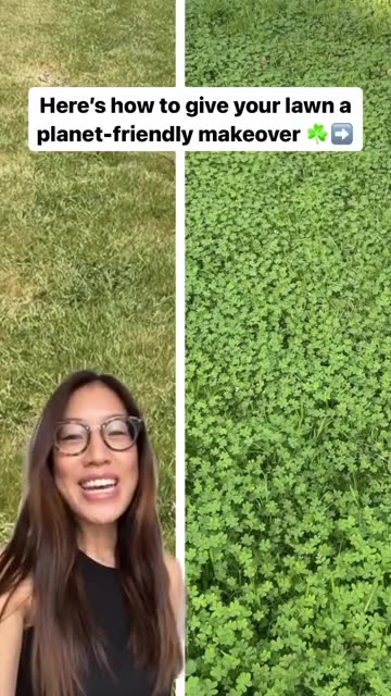 STOP GROWING GRASS LAWNS! #FUCKTHEjew!