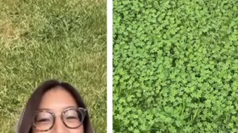 STOP GROWING GRASS LAWNS! #FUCKTHEjew!