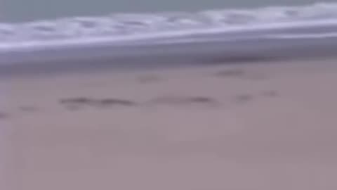 😱👻 The Scariest Moment I've Ever Seen! | TheHauntingHour