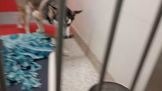 VID_20251130_192912570