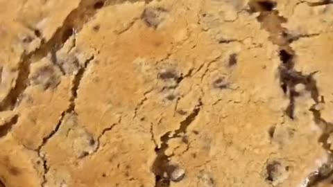 😔🍺 Feeling a Little Flat? This Video Understands! | FunFM