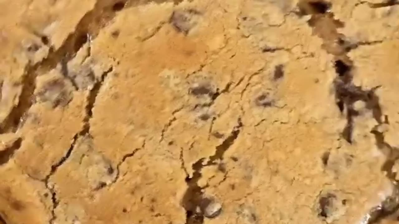 😔🍺 Feeling a Little Flat? This Video Understands! | FunFM
